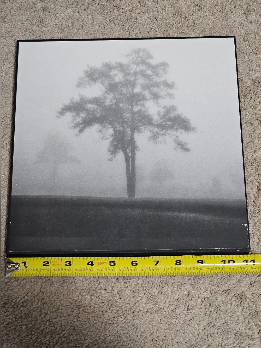 Black & White Misty Tree Wall Art - Abstract/Nature - P. Graham Dunn - 11" x 11"